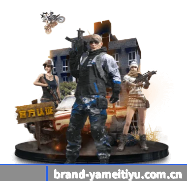 探秘体坛智库 - 体育资讯内容服务