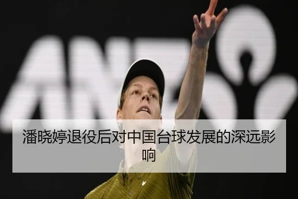 潘晓婷退役后对中国台球发展的深远影响